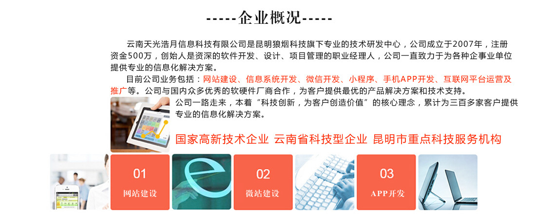 企業(yè)概況